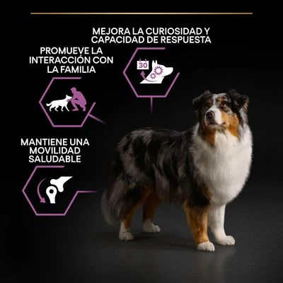 PURINA PRO PLAN Medium & Large Adult 7+ Age Defence - Imagen 5