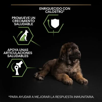 PURINA PRO PLAN Large Robust Puppy Healthy Start - Imagen 5