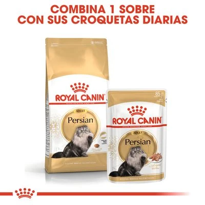 Royal Canin Breed Persian - Imagen 6