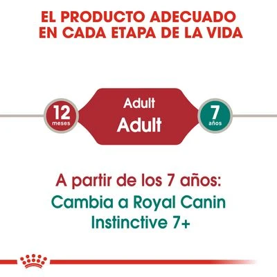 Royal Canin Instinctive En Gelatina - Imagen 5
