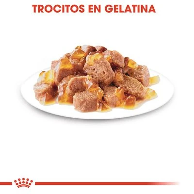 Royal Canin Instinctive En Gelatina - Imagen 3