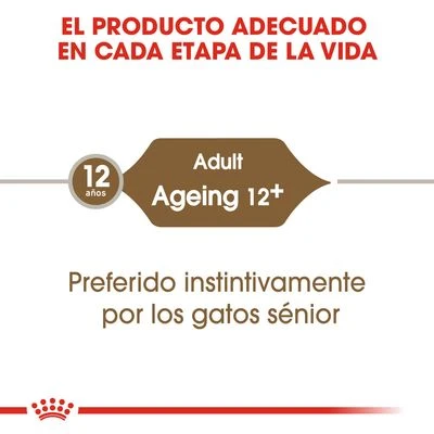 Royal Canin Ageing +12 En Salsa - Imagen 3