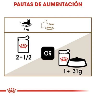 Royal Canin Ageing +12 En Salsa - Imagen 4