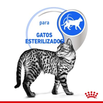 Royal Canin Indoor Sterilised 7+ En Salsa - Imagen 5