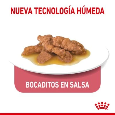 Royal Canin Indoor Sterilised 7+ En Salsa - Imagen 3
