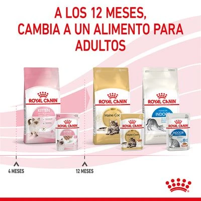 Royal Canin Kitten Paté - Imagen 10