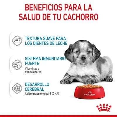 Royal Canin Medium Puppy En Salsa Para Perros - Imagen 6
