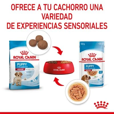 Royal Canin Medium Puppy En Salsa Para Perros - Imagen 7