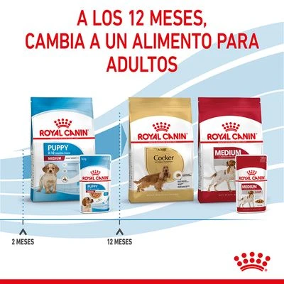 Royal Canin Medium Puppy En Salsa Para Perros - Imagen 9