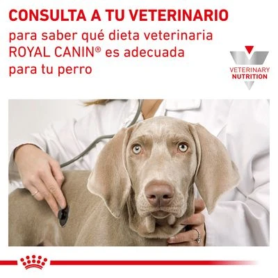 Royal Canin Veterinary Canine Hepatic HF 16 Pienso Para Perros - Imagen 8