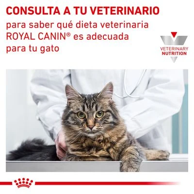 Royal Canin Veterinary Feline Diabetic - Imagen 8