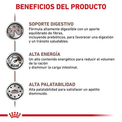 Royal Canin Veterinary Feline Gastro Intestinal Húmeda Para Gatos - Imagen 3