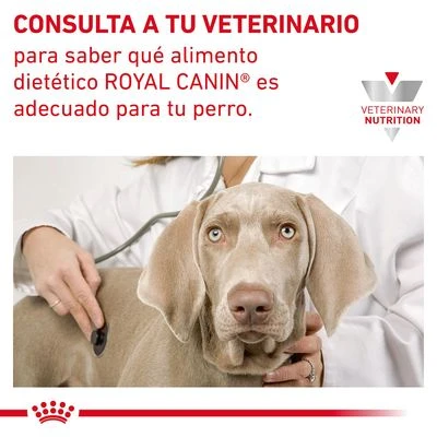Royal Canin Veterinary Canine Gastrointestinal Low Fat Mousse - Imagen 7
