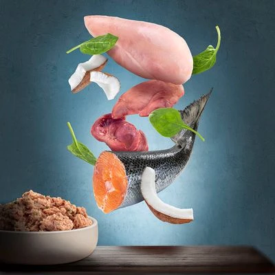 Purizon Adult 6 X 400 G Comida Húmeda Para Gatos, Sin Cereales - Imagen 2